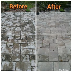 Brick Pavers before and after cleaning